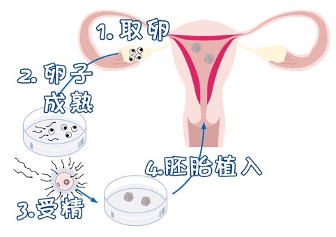 周医生
